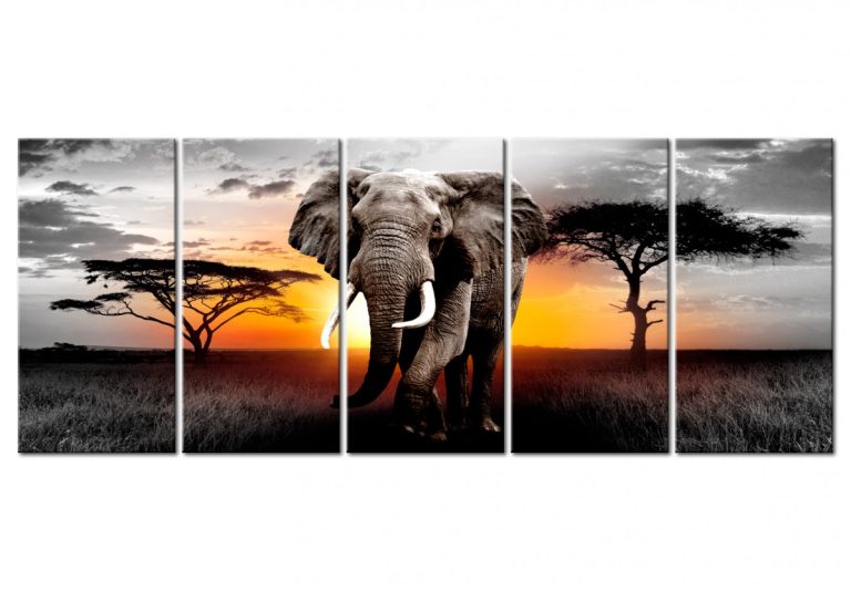 Vícedílný obraz – slon v Africe ll Vícedílný obraz – slon v Africe ll