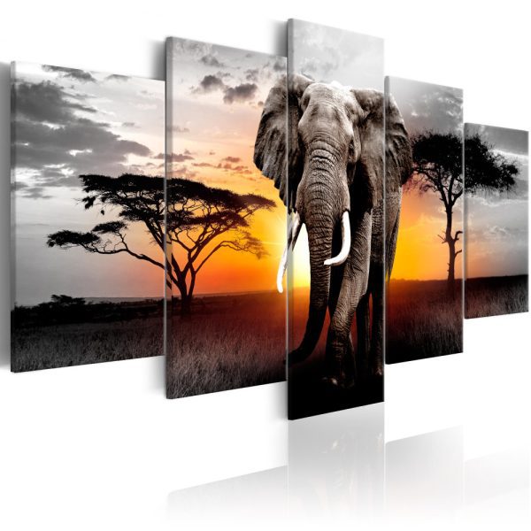 Pětidílný obraz – africký slon Pětidílný obraz – africký slon