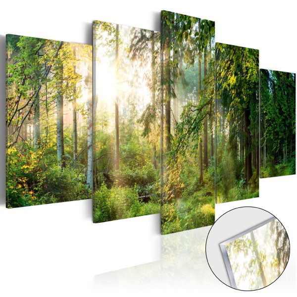 Obraz na akrylátovém skle – Green Sanctuary [Glass] Obraz na akrylátovém skle – Green Sanctuary [Glass]
