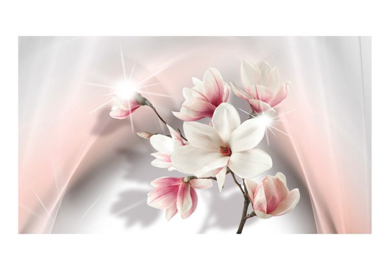 Fototapeta XXL – White Magnolias II Fototapeta XXL – White Magnolias II