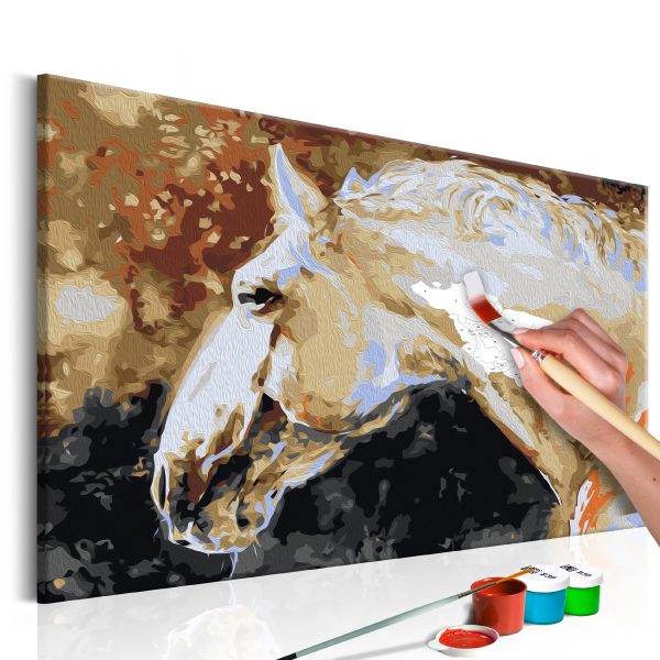 Malování podle čísel – White Horse Malování podle čísel – White Horse
