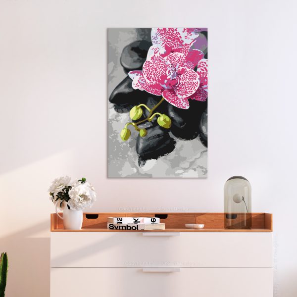 Malování podle čísel – Pink Orchid Malování podle čísel – Pink Orchid