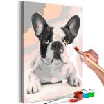 Malování podle čísel – French Bulldog Malování podle čísel – French Bulldog