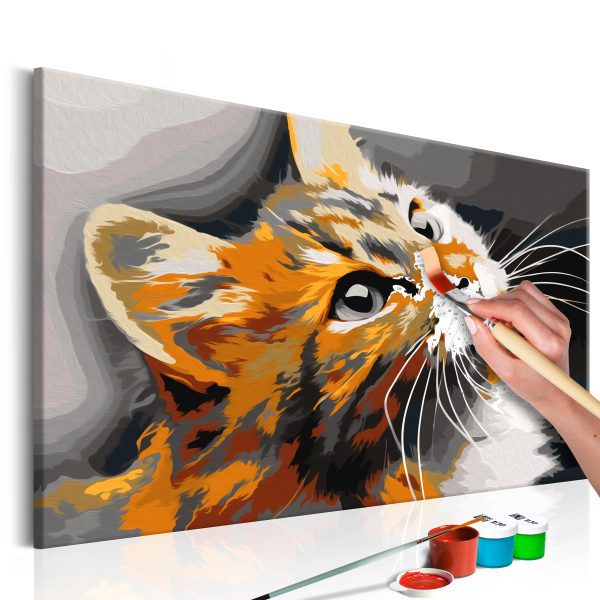 Malování podle čísel – Red Cat Malování podle čísel – Red Cat
