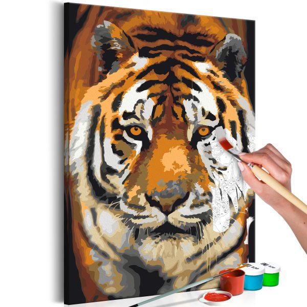 Malování podle čísel – Asian Tiger Malování podle čísel – Asian Tiger