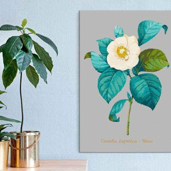 Malování podle čísel – Beautiful Camellia Malování podle čísel – Beautiful Camellia