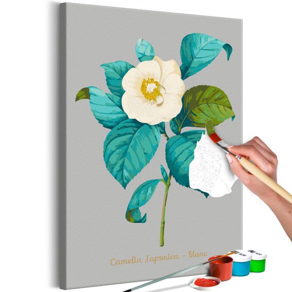 Malování podle čísel – Beautiful Camellia Malování podle čísel – Beautiful Camellia