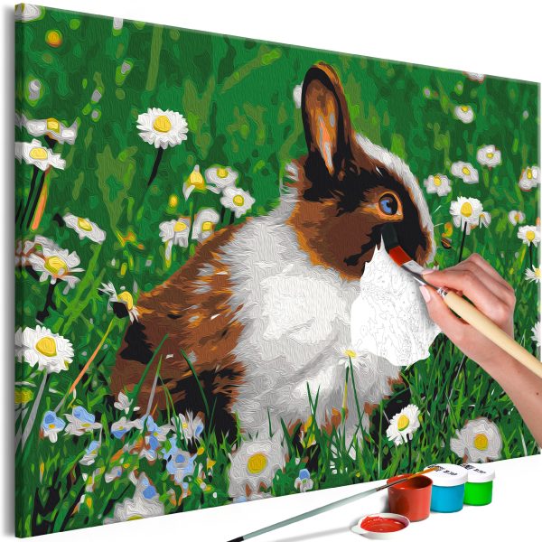 Malování podle čísel – Rabbit in the Meadow Malování podle čísel – Rabbit in the Meadow