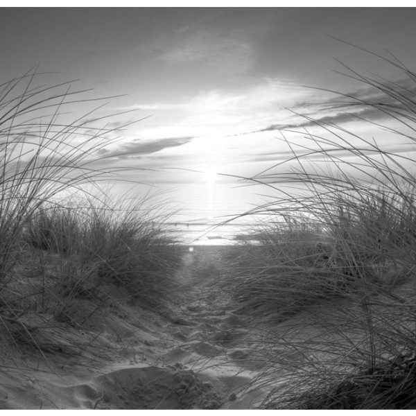 Samolepící fototapeta – beach (black and white) Samolepící fototapeta – beach (black and white)