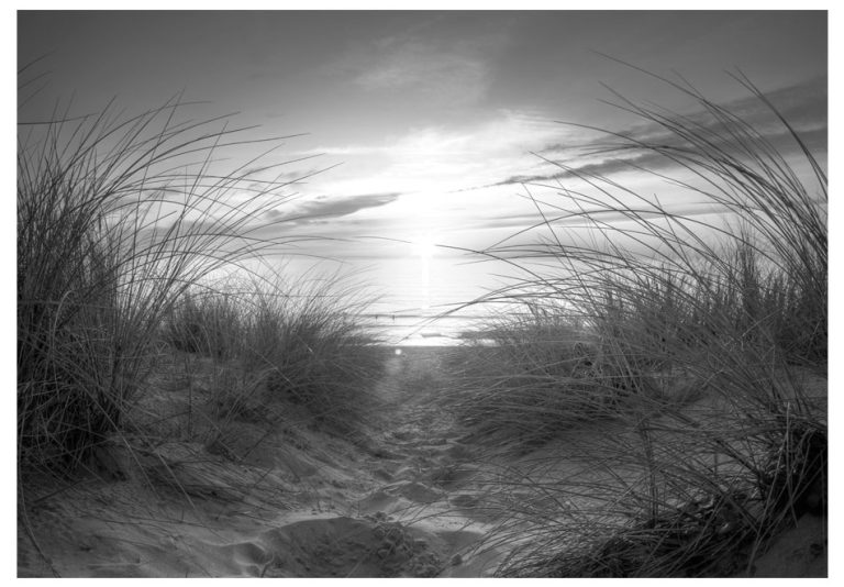 Samolepící fototapeta – beach (black and white) Samolepící fototapeta – beach (black and white)