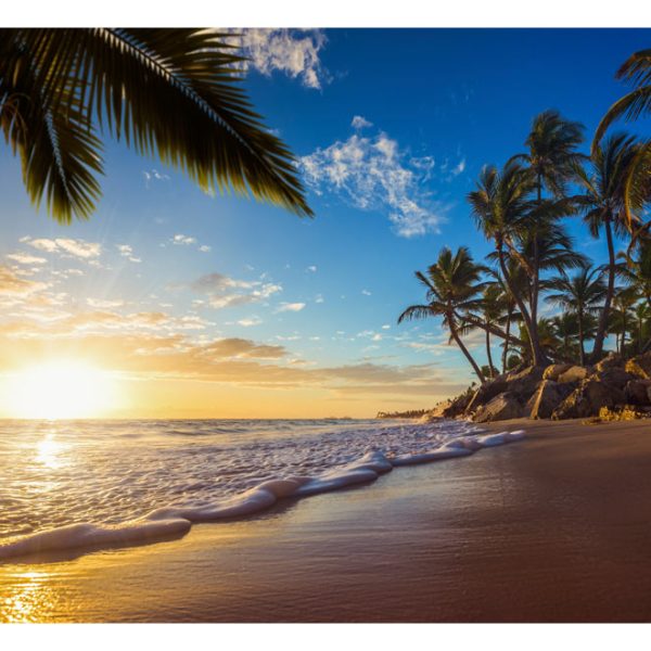 Samolepící fototapeta – Tropical Beach Samolepící fototapeta – Tropical Beach