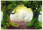 Samolepící fototapeta – Enchanted forest Samolepící fototapeta – Enchanted forest