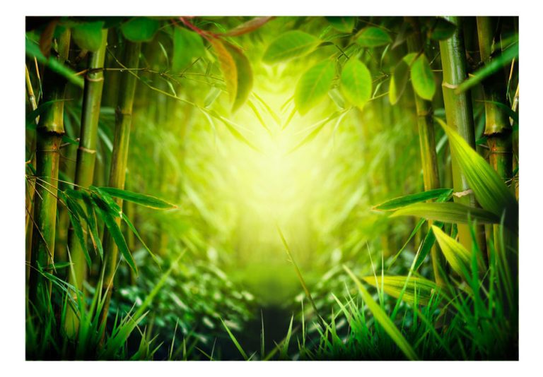 Samolepící fototapeta – Forest fairy Samolepící fototapeta – Forest fairy