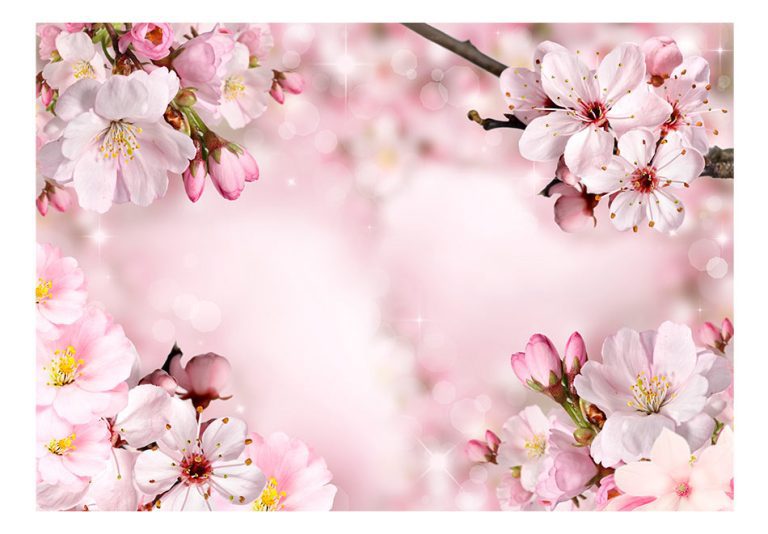 Samolepící fototapeta – Spring Cherry Blossom Samolepící fototapeta – Spring Cherry Blossom
