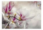 Samolepící fototapeta – Subtle Magnolias – Third Variant Samolepící fototapeta – Subtle Magnolias – Third Variant