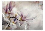 Fototapeta – Subtle Magnolias – First Variant Fototapeta – Subtle Magnolias – First Variant