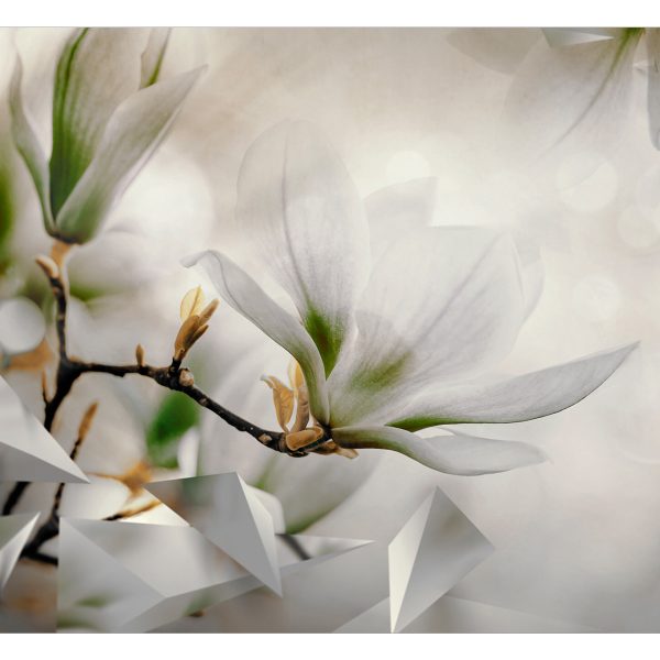 Fototapeta – Subtle Magnolias – Second Variant Fototapeta – Subtle Magnolias – Second Variant
