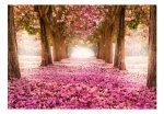 Fototapeta – Pink grove Fototapeta – Pink grove