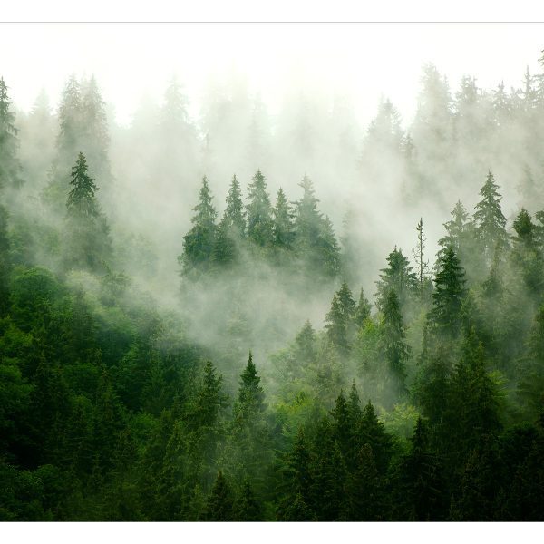 Fototapeta – Mountain Forest (Green) Fototapeta – Mountain Forest (Green)