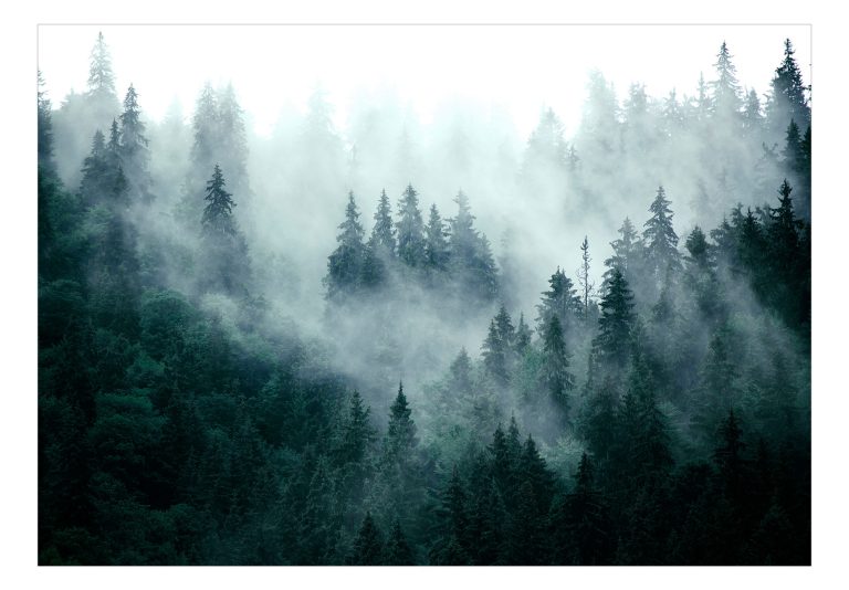 Fototapeta – Mountain Forest (Dark Green) Fototapeta – Mountain Forest (Dark Green)