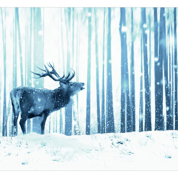 Fototapeta – Deer in the Snow (Blue) Fototapeta – Deer in the Snow (Blue)