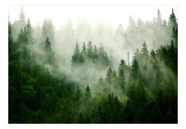 Samolepící fototapeta – Mountain Forest (Green) Samolepící fototapeta – Mountain Forest (Green)