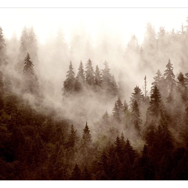 Samolepící fototapeta – Mountain Forest (Sepia) Samolepící fototapeta – Mountain Forest (Sepia)