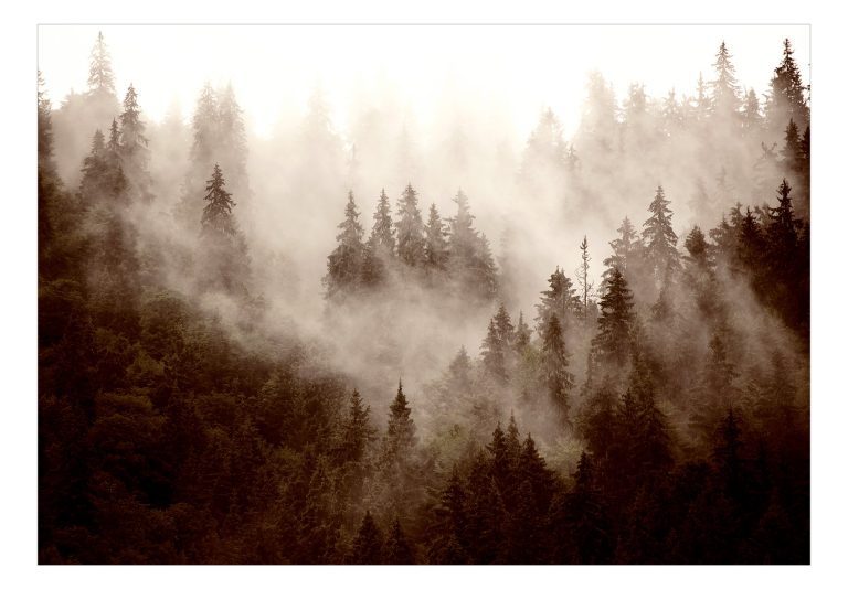 Samolepící fototapeta – Mountain Forest (Sepia) Samolepící fototapeta – Mountain Forest (Sepia)