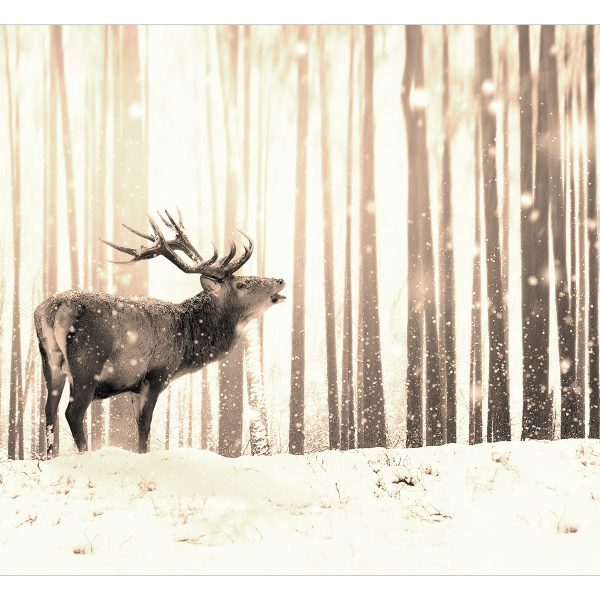 Samolepící fototapeta – Deer in the Snow (Sepia) Samolepící fototapeta – Deer in the Snow (Sepia)