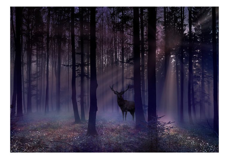 Samolepící fototapeta – Mystical Forest – Second Variant Samolepící fototapeta – Mystical Forest – Second Variant