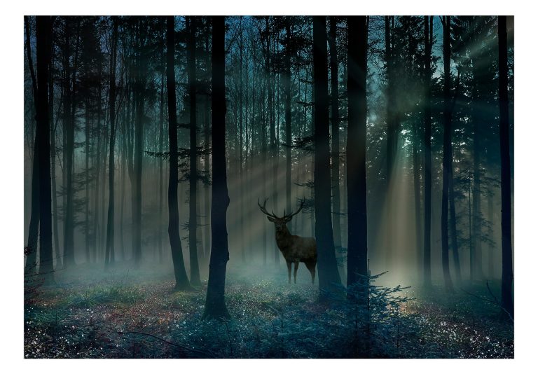 Samolepící fototapeta – Mystical Forest – Third Variant Samolepící fototapeta – Mystical Forest – Third Variant