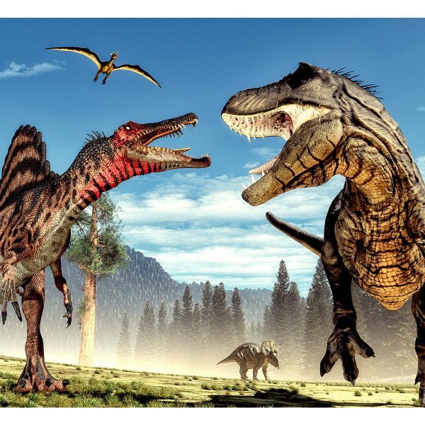 Fototapeta – Fighting Dinosaurs Fototapeta – Fighting Dinosaurs