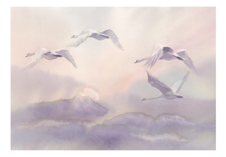 Samolepící fototapeta – Flying Swans Samolepící fototapeta – Flying Swans