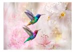 Samolepící fototapeta – Colourful Hummingbirds (Pink) Samolepící fototapeta – Colourful Hummingbirds (Pink)