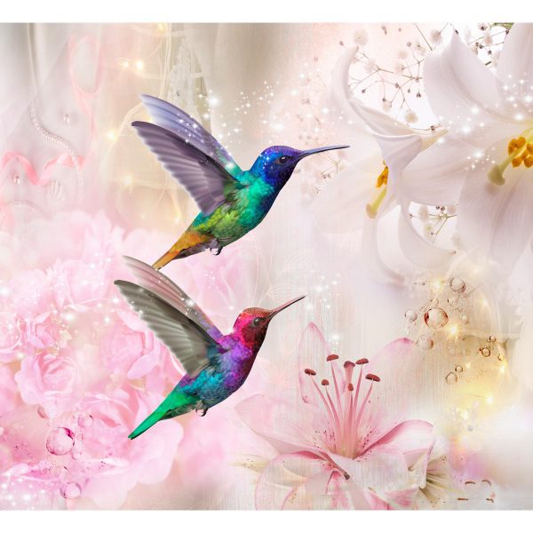 Fototapeta – Colourful Hummingbirds (Pink) Fototapeta – Colourful Hummingbirds (Pink)