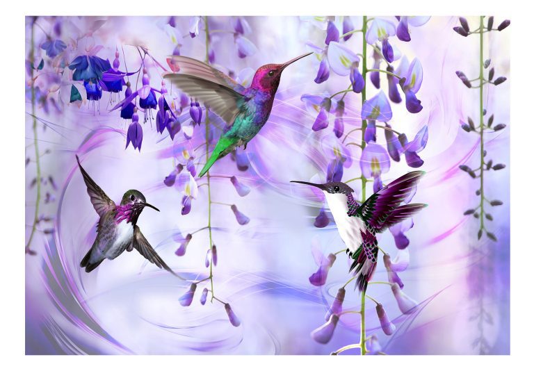 Samolepící fototapeta – Flying Hummingbirds (Violet) Samolepící fototapeta – Flying Hummingbirds (Violet)
