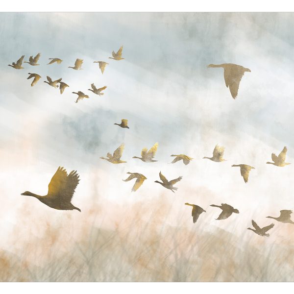 Fototapeta – Golden Geese Fototapeta – Golden Geese