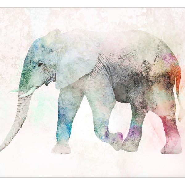 Fototapeta – Painted Elephant Fototapeta – Painted Elephant