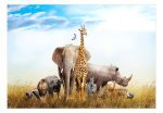 Samolepící fototapeta – Fauna of Africa Samolepící fototapeta – Fauna of Africa