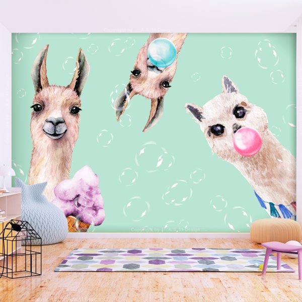 Fototapeta – Crazy Llamas Fototapeta – Crazy Llamas