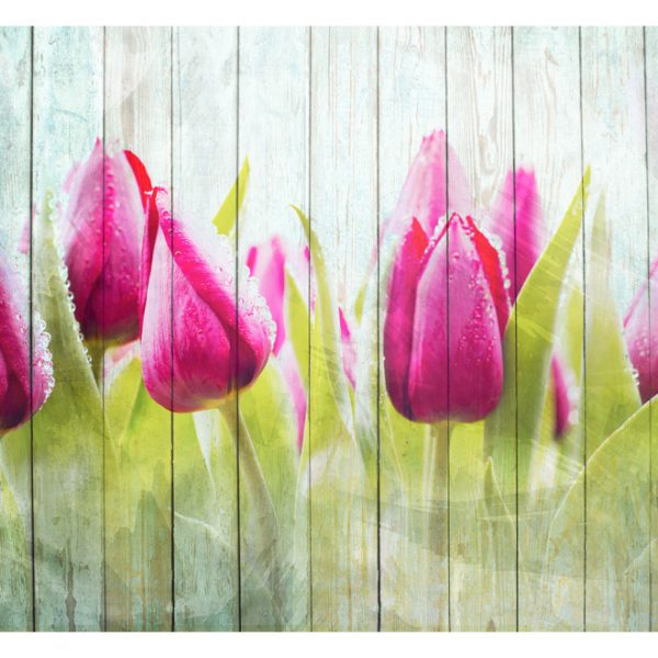 Fototapeta – Tulips on white wood Fototapeta – Tulips on white wood