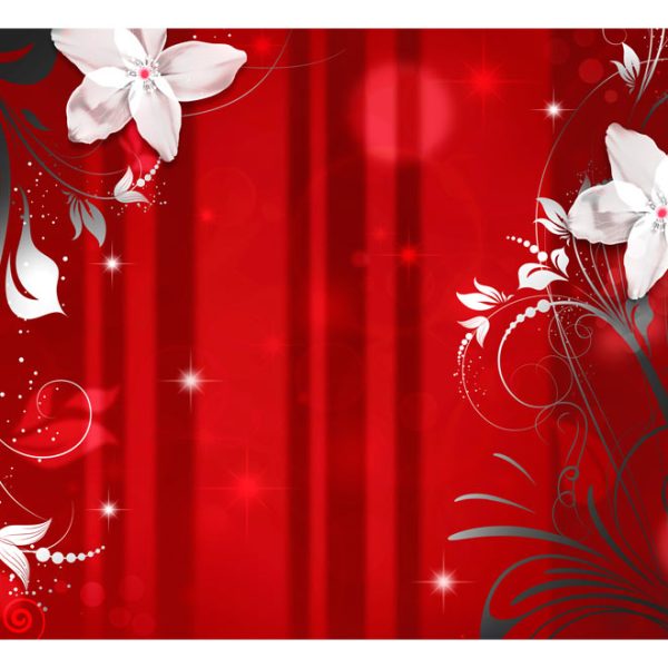 Fototapeta – Flowering scarlet Fototapeta – Flowering scarlet