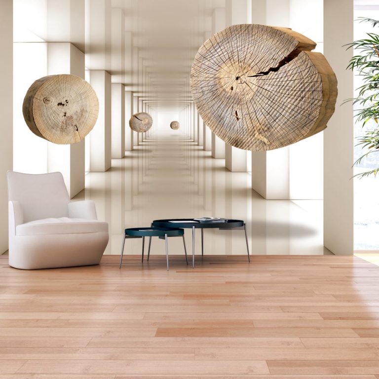 Fototapeta – Flying Discs of Wood Fototapeta – Flying Discs of Wood