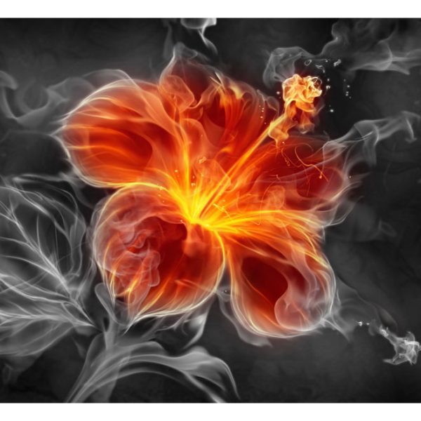 Fototapeta – Fiery flower inside the smoke Fototapeta – Fiery flower inside the smoke