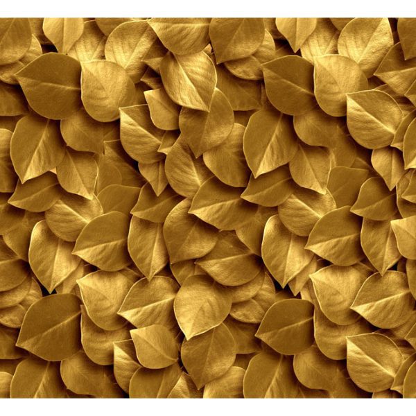 Fototapeta – Golden Leaves Fototapeta – Golden Leaves