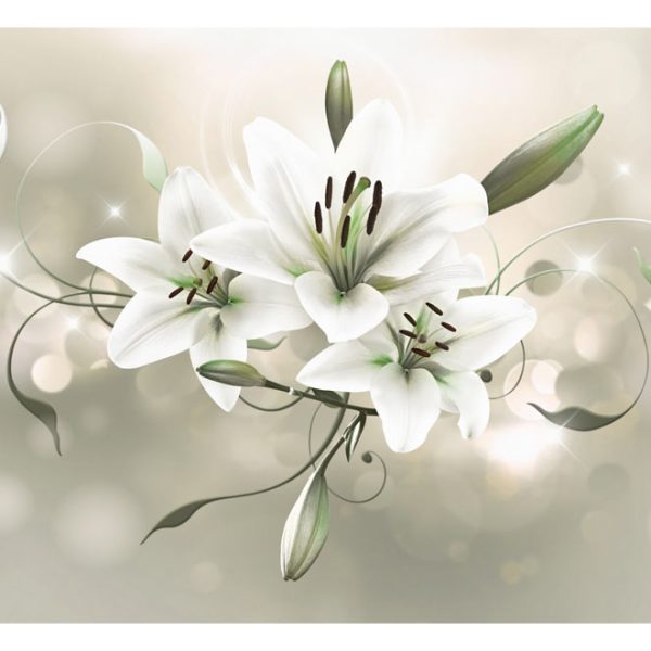 Fototapeta – Lily – Flower of Masters Fototapeta – Lily – Flower of Masters