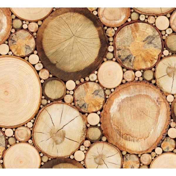 Fototapeta – Wood grains Fototapeta – Wood grains