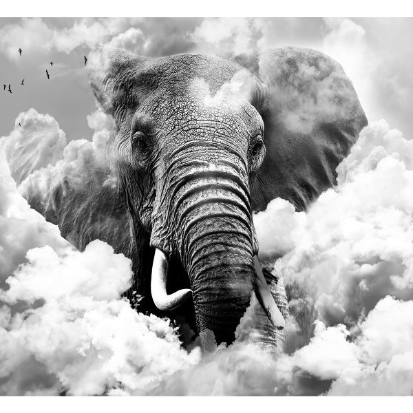 Fototapeta – Elephant in the Clouds (Black and White) Fototapeta – Elephant in the Clouds (Black and White)