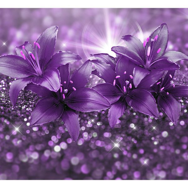 Fototapeta – Masterpiece of Purple Fototapeta – Masterpiece of Purple