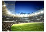 Fototapeta – National stadium Fototapeta – National stadium